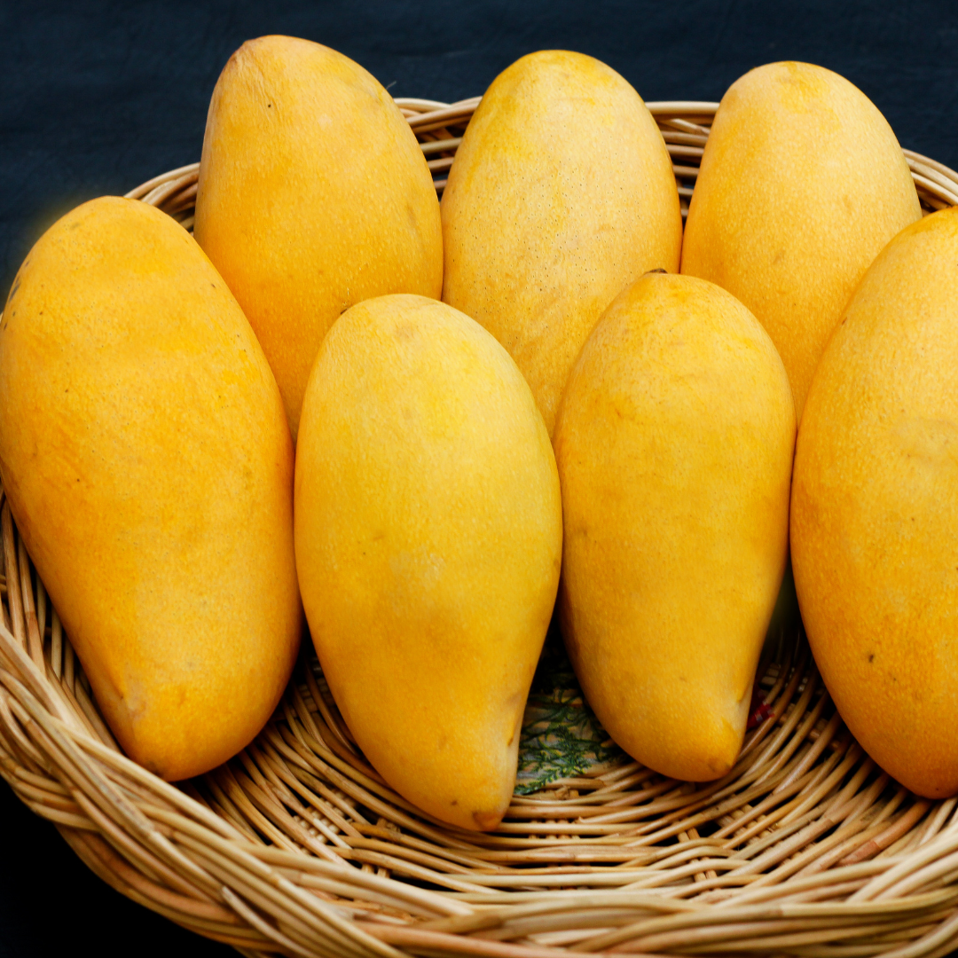 Fresh Mangoes