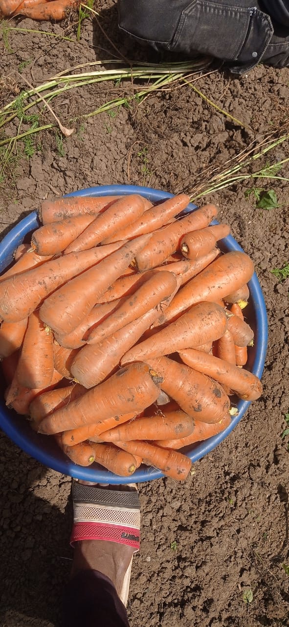 WhatsApp Image 2026-04-27 at 4.09.31 PM