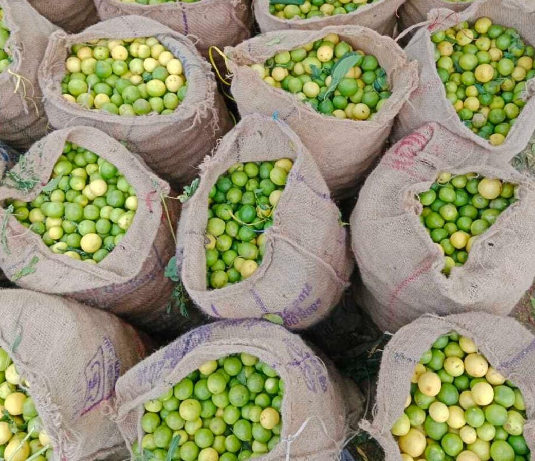 WhatsApp Image 2026-04-27 at 4.09.48 PM