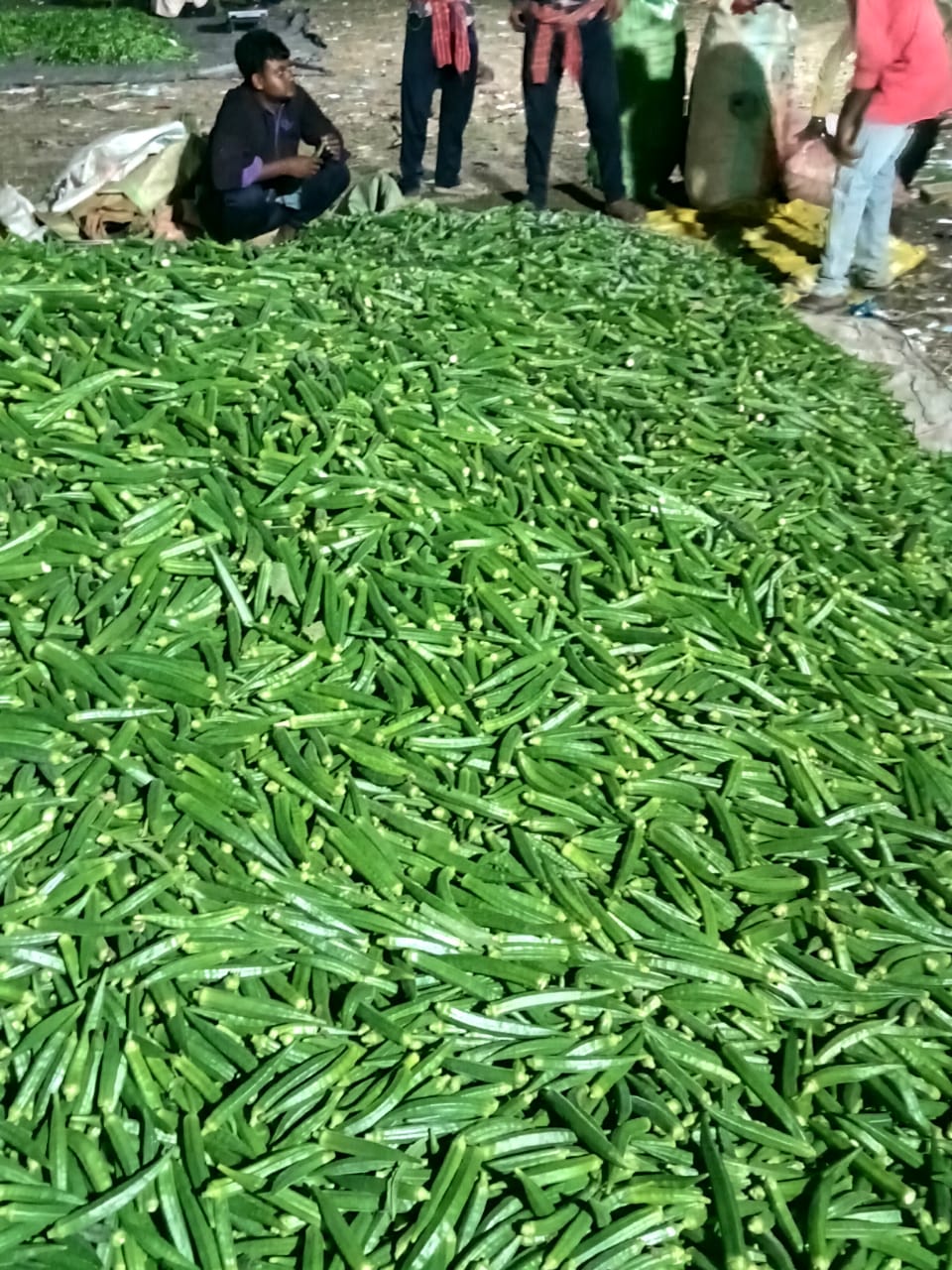 WhatsApp Image 2026-04-27 at 4.09.57 PM