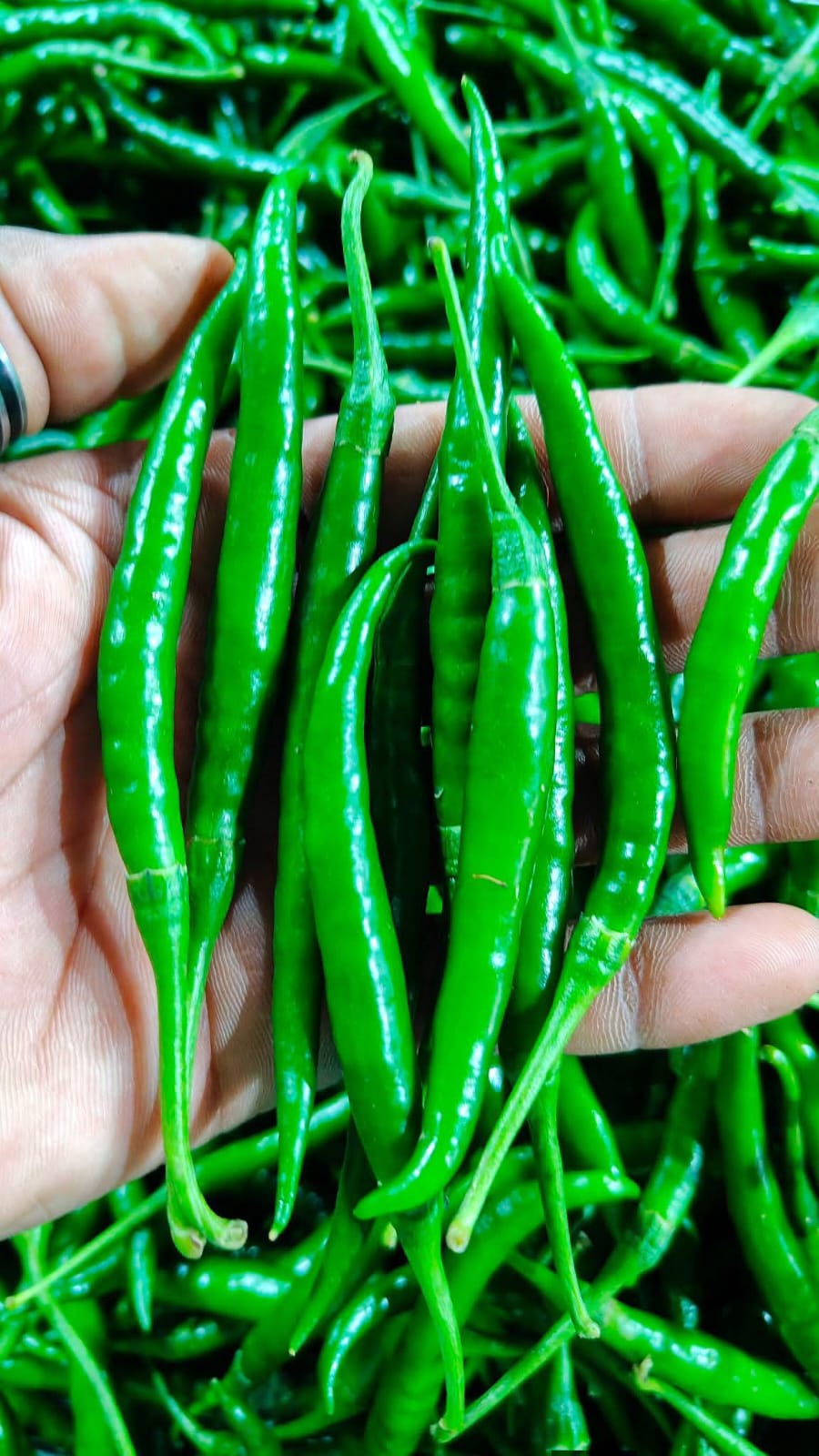 WhatsApp Image 2026-04-27 at 4.09.58 PM