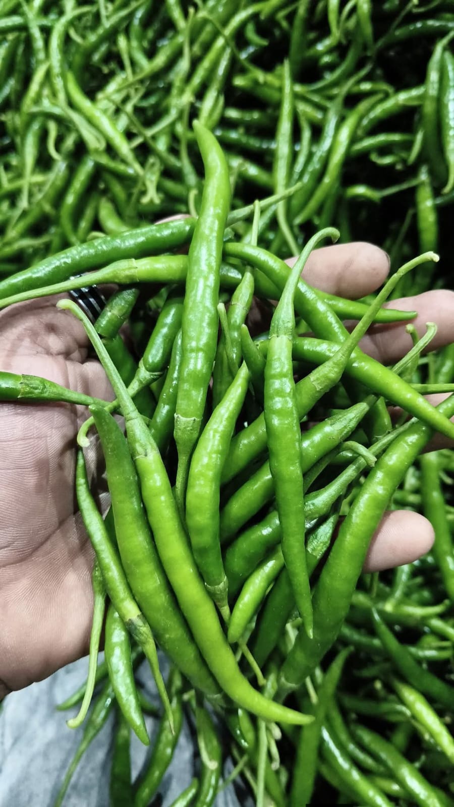 WhatsApp Image 2026-04-27 at 4.10.00 PM