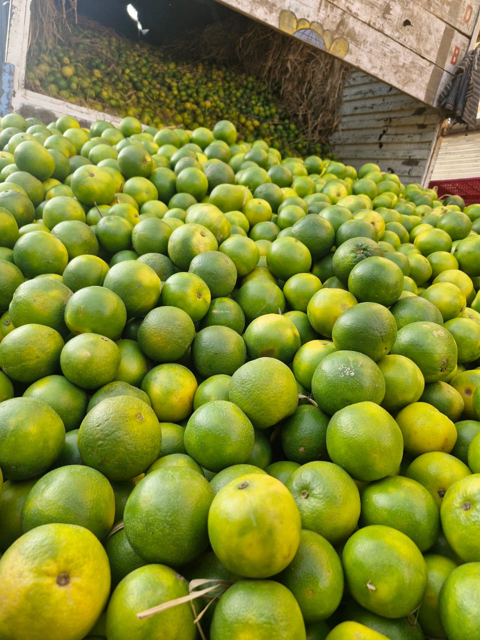 WhatsApp Image 2026-04-27 at 4.10.02 PM