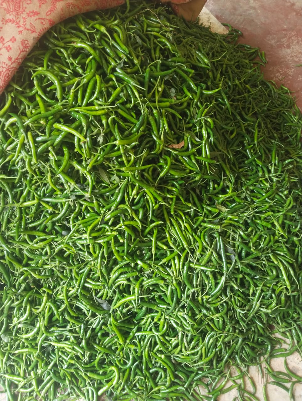 WhatsApp Image 2026-04-27 at 4.10.43 PM