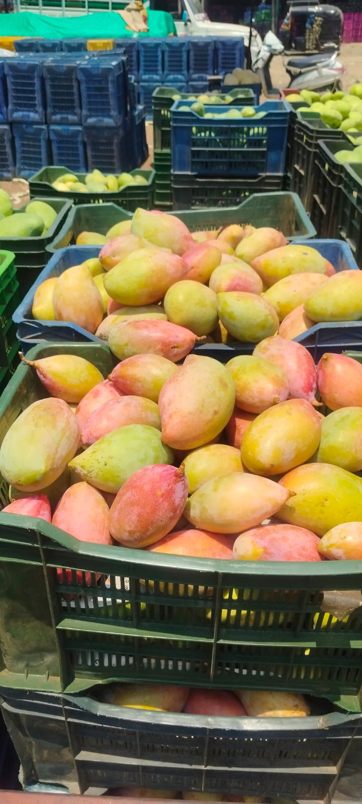 WhatsApp Image 2026-04-27 at 4.10.56 PM