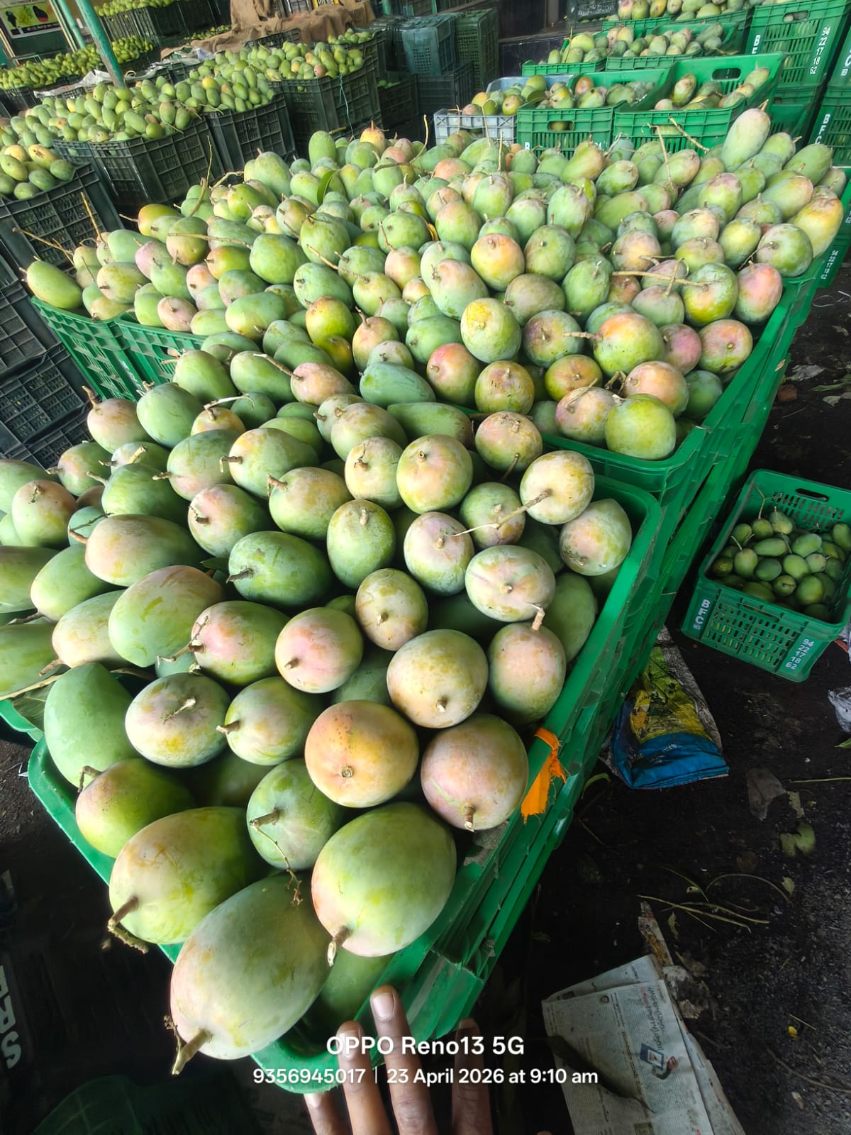 WhatsApp Image 2026-04-27 at 4.10.58 PM