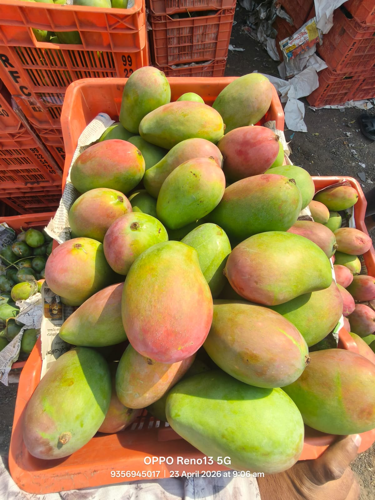 WhatsApp Image 2026-04-27 at 4.11.01 PM