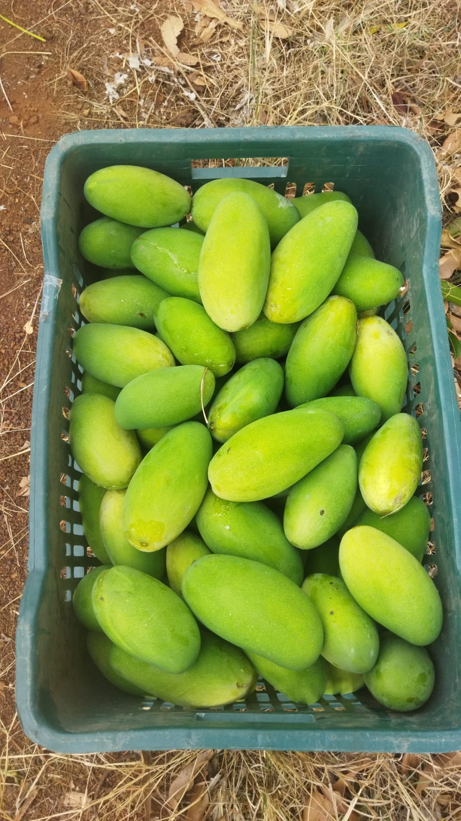 WhatsApp Image 2026-04-27 at 4.11.02 PM